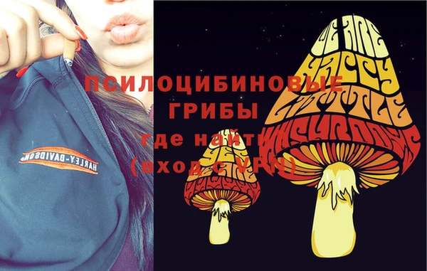 хмурый Алексеевка